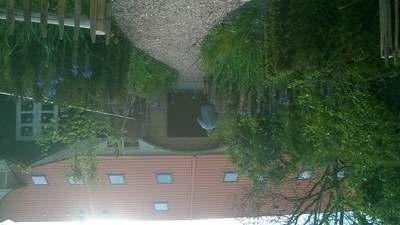 WP_20160518_002.jpg