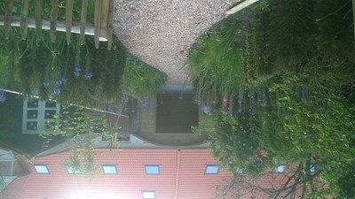 WP_20160518_003.jpg