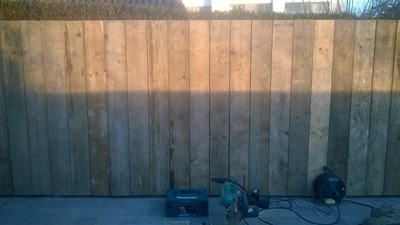 WP_20160203_003.jpg